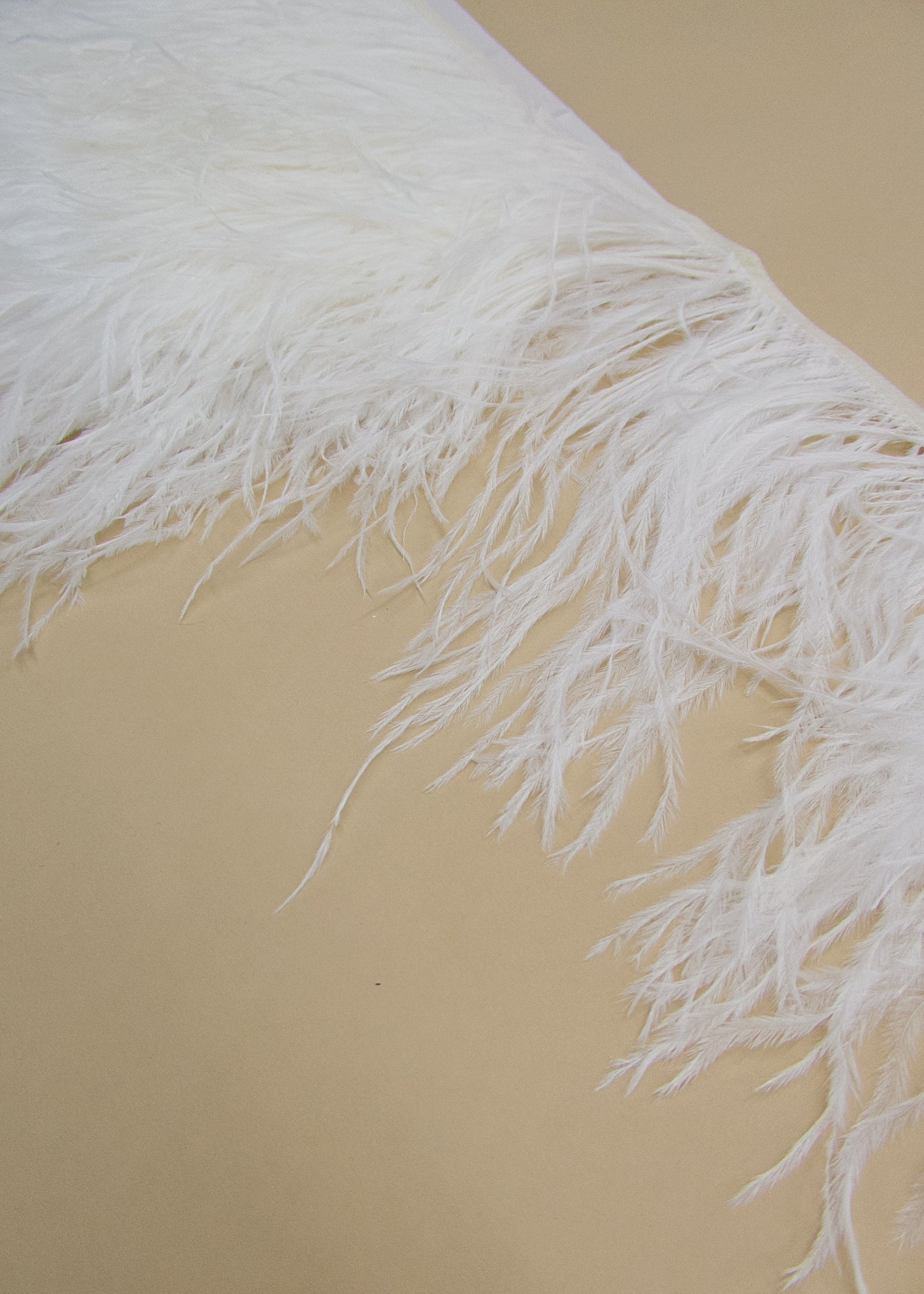 Ostrich Feather Trim, Black or White